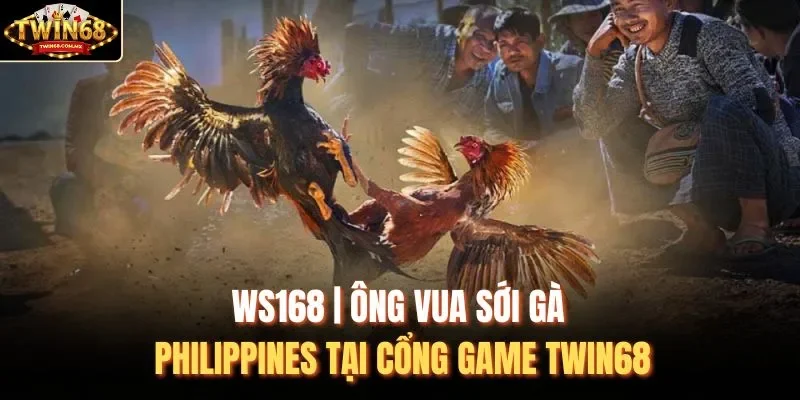 WS168